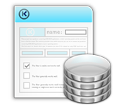 Fornitura di soluzioni software